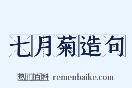 七月菊造句是什么意思的图片